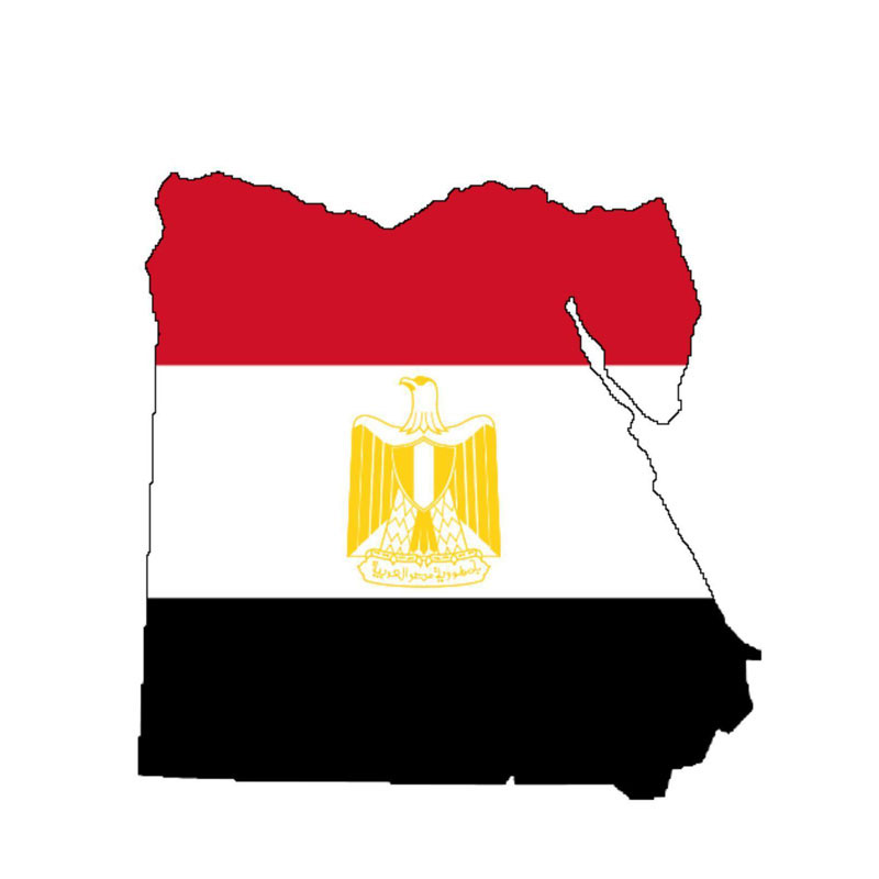 Volkrays criativo etiqueta do  - Car Accessories Egypt avaliação e preço